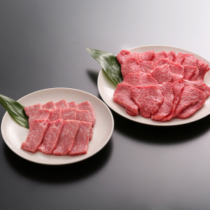 焼肉_焼肉セットモモ300gバラカルビ200g