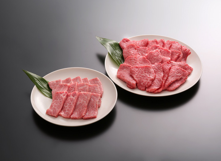 焼肉_焼肉セットモモ300gバラカルビ200g